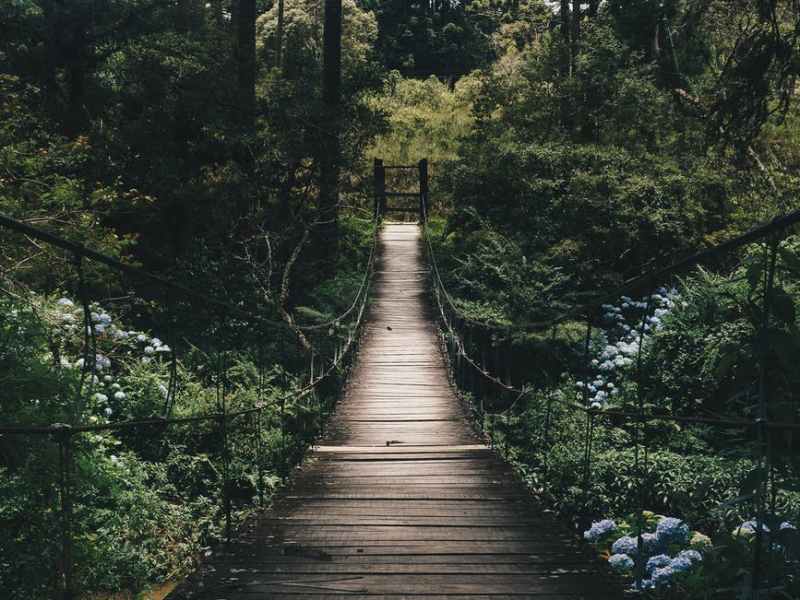 An Unexpected Start to the&nbsp;Year